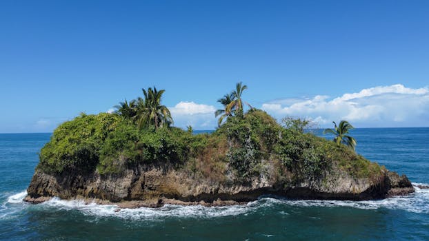 A lush, palm-covered island off the coast of Puerto Viejo, Costa Rica against a clear blue sky.