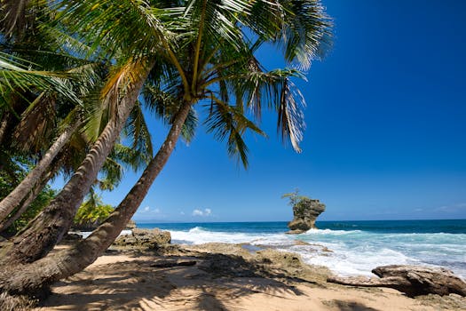 Tropical beach in Limón, Costa Rica with palm trees and rock formations under clear skies.