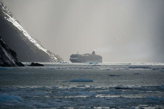 A cruise ship sails through icy Alaskan waters near Juneau under a misty gray sky.