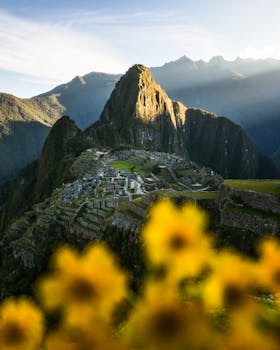 Stunning view of Machu Picchu at sunrise with vibrant yellow flowers in the foreground.