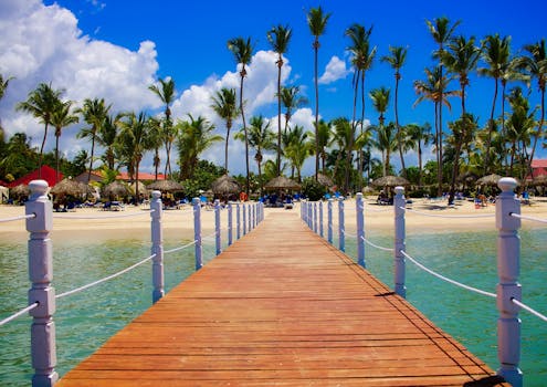 Wooden dock leading to a tropical beach resort with palm trees and clear blue waters.