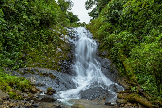 Lush green rainforest encircling a cascading waterfall in Costa Rica, perfect for nature lovers.