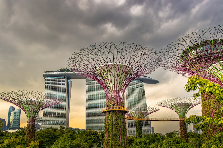 Explore the iconic Supertree Grove and Marina Bay Sands at Gardens by the Bay, Singapore.