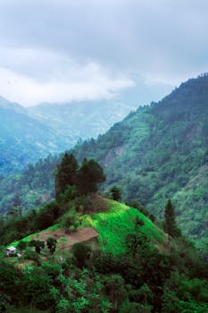 A vibrant view of the lush green mountains surrounding Spanish Town in Jamaica.