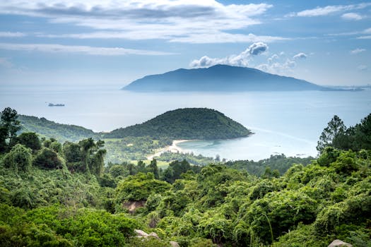 Lush green trees growing on slope of mountain near sea in coastal terrain against island in nature on sunny summer day