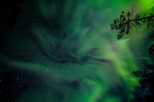 Vibrant green aurora borealis shines against a starry night sky with silhouetted trees.
