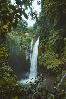 Stunning waterfall in a lush tropical rainforest in Sukasada, Bali. Perfect for nature lovers.