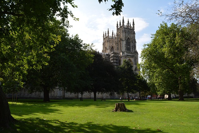gothic, gothic english, york, york, england, england, architecture, historical, yorkshire, the cathedral, york minster, north yorkshire, york, york minster, york minster, york minster, york minster, york minster, north yorkshire, north yorkshire