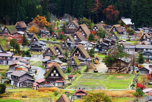 japan, kanazawa, shirakawa-go, building, gassho village, house, tree, outdoor, bird's eye view, roof, travel, tourism, small town, park, nature, city, hill, vision, landscape, the level of, beauty, pretty, japan, kanazawa, kanazawa, kanazawa, shirakawa-go, small town, small town, small town, small town, small town