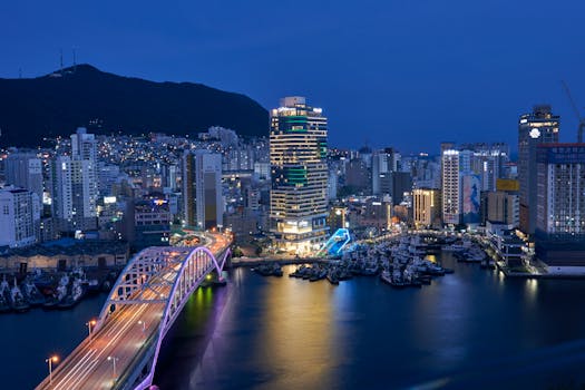 Aerial view of Busan's vibrant cityscape and illuminated bridge at night.