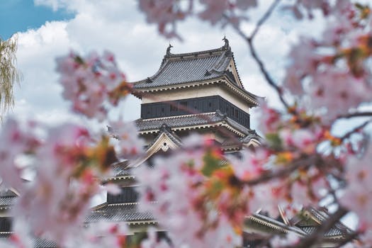 A picturesque view of cherry blossoms framing a traditional Japanese castle, capturing the essence of spring.