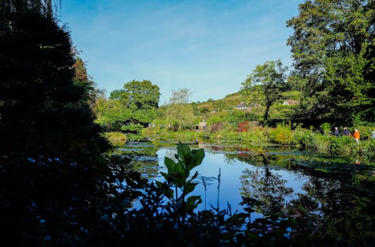 Peaceful garden landscape with a serene pond reflecting greenery and bright blue sky.