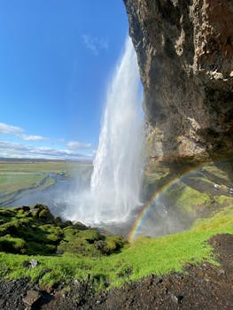 Stunning view of Seljalandsfoss waterfall with a rainbow, lush greenery in Iceland.