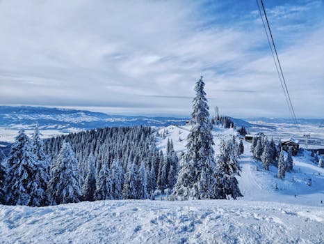 Scenic winter view of snow-covered mountains and fir trees in Brașov, Romania.