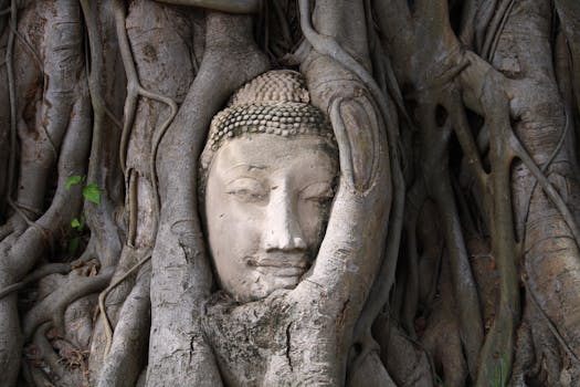 Buddha head statue entwined with tree roots at Wat Mahathat, Ayutthaya, Thailand.